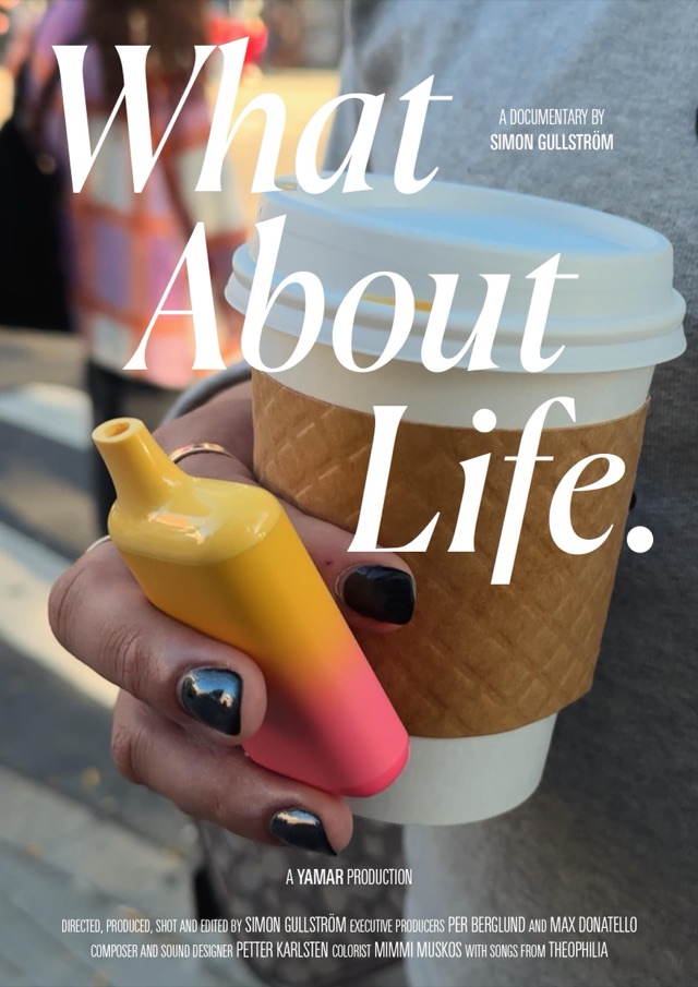 What About Life film poster